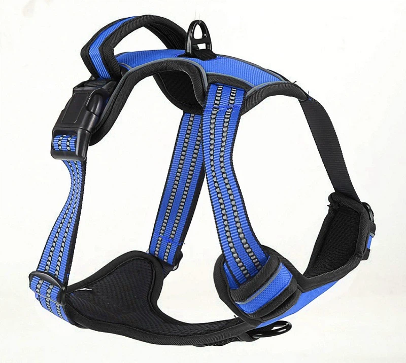 Polyester Webbing factory Polyester Webbing factory